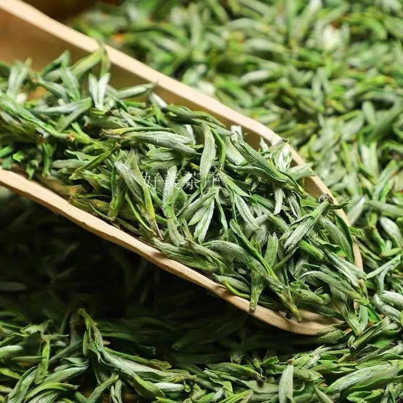 2025 the latest Huangshan Maofeng highest grade tender bud tea