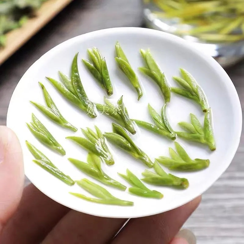 2025 the latest Huangshan Maofeng highest grade tender bud tea